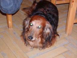 Resize of P1010427.JPG